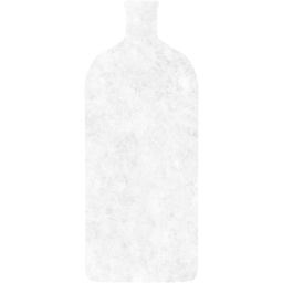 bottle 11 icon