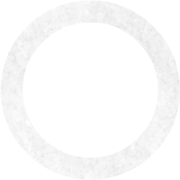 circle outline icon