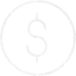 dollar 2 icon