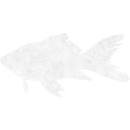 fish 7 icon