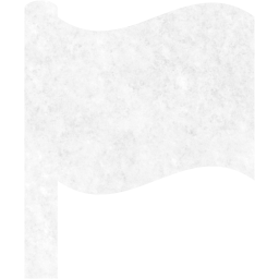 flag icon