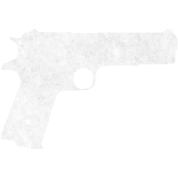 gun 5 icon