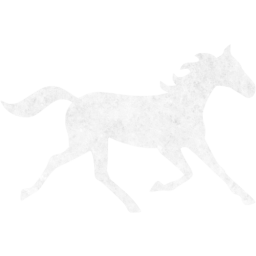 horse 3 icon