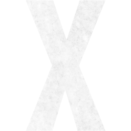 letter x icon