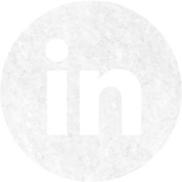 linkedin 4 icon