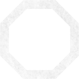 octagon outline icon