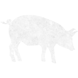 pig 6 icon