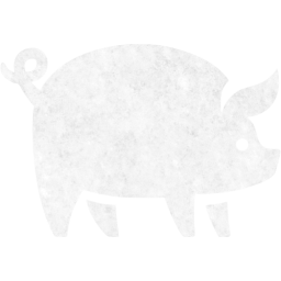 pig icon