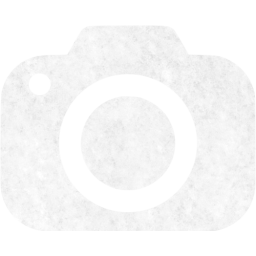 screenshot icon