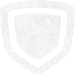 shield 2 icon