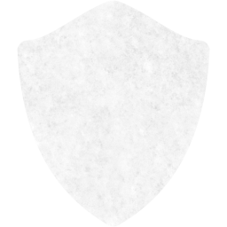 shield icon