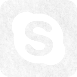 skype 3 icon