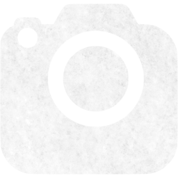 slr camera 2 icon