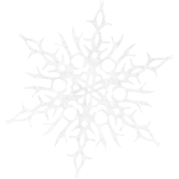 snowflake 14 icon