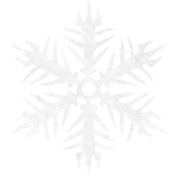 snowflake 16 icon