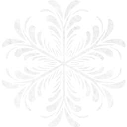 snowflake 17 icon