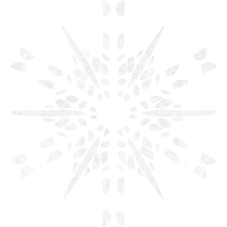 snowflake 19 icon