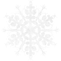 snowflake 2 icon