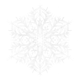 snowflake 22 icon