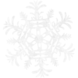 snowflake 25 icon