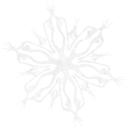 snowflake 4 icon