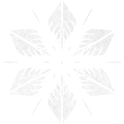 snowflake 5 icon