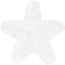 star 23 icon