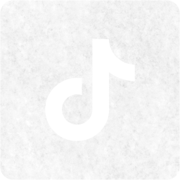 tiktok 2 icon