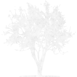 tree 21 icon