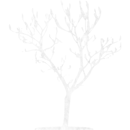 tree 7 icon