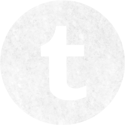 tumblr 4 icon