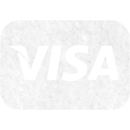 visa icon