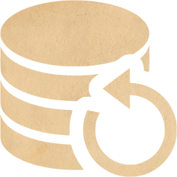 data backup icon