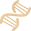 dna helix