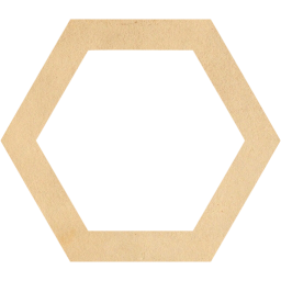 hexagon outline icon