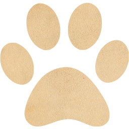 paw icon