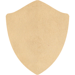 shield icon