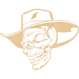 skull 2 icon