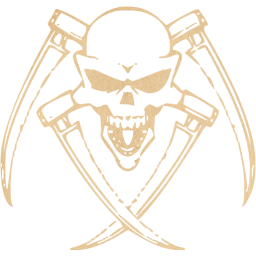 skull 30 icon