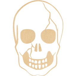 skull 37 icon