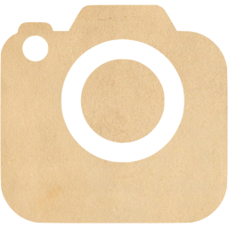 slr camera 2 icon