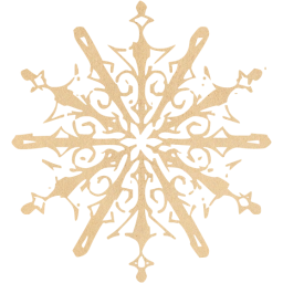 snowflake 10 icon