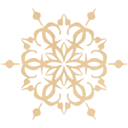 snowflake 13 icon