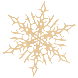 snowflake 14 icon
