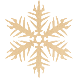 snowflake 16 icon