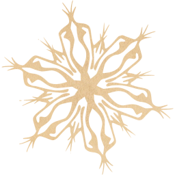 snowflake 4 icon