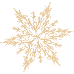 snowflake 41 icon