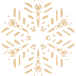 snowflake 45 icon