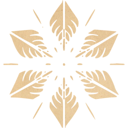 snowflake 5 icon