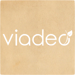 viadeo 4 icon